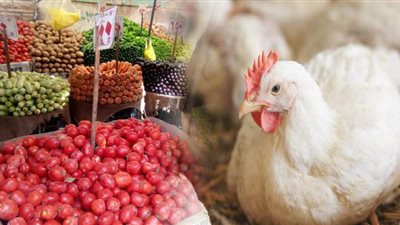 أبرزها الدواجن والخضراوات والفاكهة.. سلع تراجعت أسعارها بالأسواق
