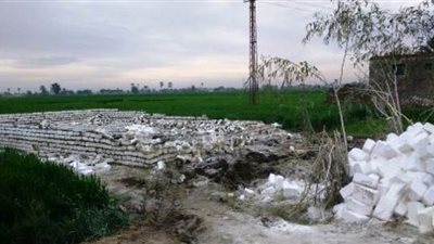 إزالة 2147 تعدٍ على الأراضي الزراعية وأملاك الدولة ببني سويف