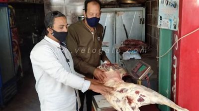 ضبط 2 طن لحوم فاسدة وتحرير 29 محضرا فى حملات تموينية بالدقهلية