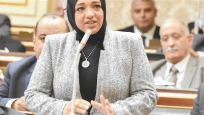 تعيين النائبة مى محمود مساعدا لرئيس الحزب العربى للشئون الإفريقية