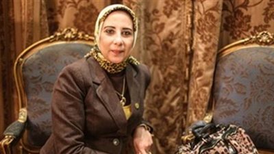 مقترح برلماني لإنشاء شركة قابضة لاستثمار أموال العائدين من الخارج