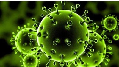 قرية بكفر الشيخ تتخلص من وباء كورونا وتسجل صفر حالات إصابة | صور