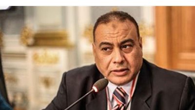 برلمانى: ثورة 30 يونيو أنقذت مصر من مصير  سوريا والصومال والعراق واليمن