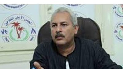 نقيب الفلاحين:  زراعات الموز المصري آمنة وخالية من الأمراض