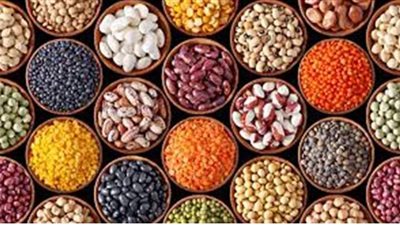 أسعار البقوليات اليوم 27 / 6 / 2020