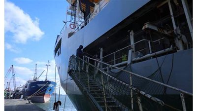 نشاط في حركة السفن والبضائع والشاحنات بميناء الإسكندرية