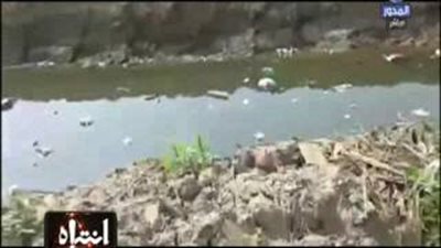 بالفيديو.. تلوث الأسماك بمياه الصرف الصحي في بحر مويس بالشرقية