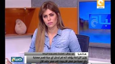 بالفيديو.. «الزراعة»: لم تدخل مصر حبة قمح مصابة بفطر الإرجوت