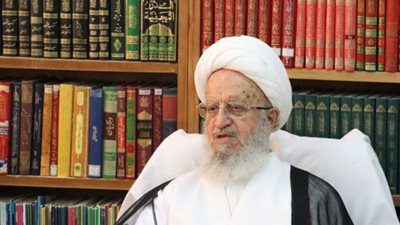 مرجع شيعي إيراني يشيد بمواقف شيخ الأزهر في محاربة الإرهاب