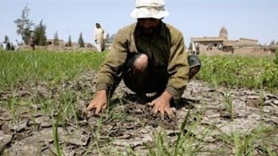 تقرير وزارة الري عن بوار الأراضي الزراعية يكشف.. «المزارعون هم السبب.. الفلاحون خالفوا قرار زراعة الأرز.. و600 ألف فدان خارج الخريطة».. «عبد العاطي» يؤكد بفرض الغرامات.. وتكهنات حو