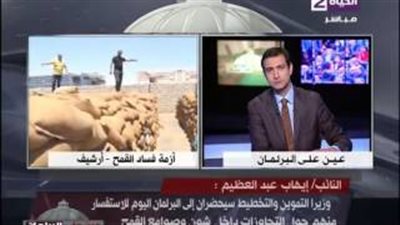 بالفيديو.. «تقصي حقائق فساد القمح»: استدعاء وزيرين بشأن المخالفات