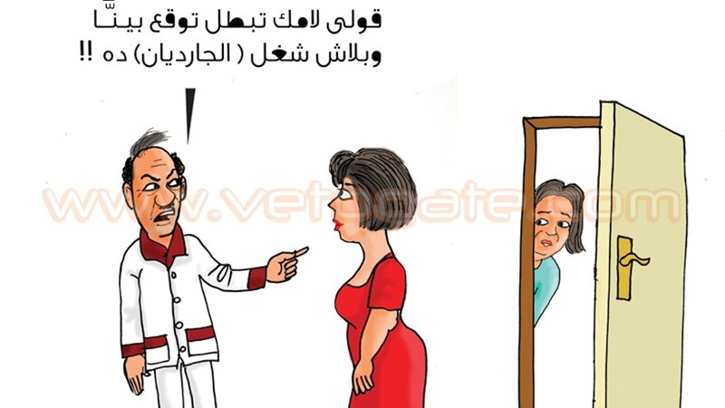فيتو