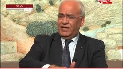 كبير المفوضين الفلسطينيين: قرارات مجلس الأمن توجب انسحاب إسرائيل