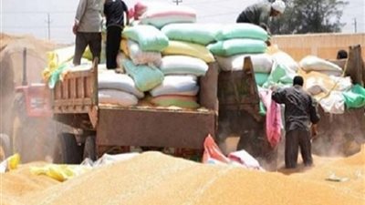 بدء جلسة استماع «تقصي حقائق القمح» بحضور ٣ وزراء