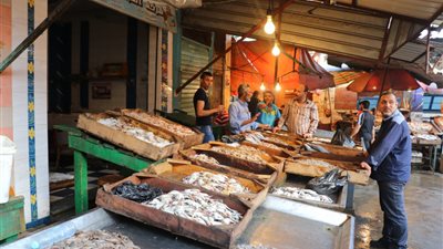 فرانو شوي السمك ببورسعيد: «ربنا يهون علينا في رمضان»