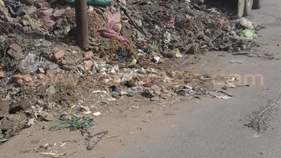 بالصور.. إزالة 39 حالة تعد على الأراضي الزراعية بقليوب