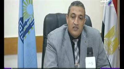 بالفيديو.. محافظة القاهرة: حماية أسود قصر النيل تحت إشراف وزارة الآثار