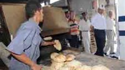 إنشاء مخبز لإنتاج مليون رغيف يوميًا بـ