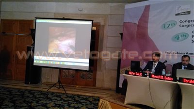 أحمد السبكي: غياب الرقابة سبب رئيسي لمضاعفات جراحات السمنة