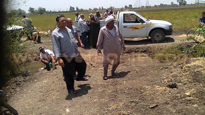 حملة إزالة لزراعات الأرز المخالفة بالدقهلية