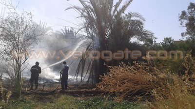 السيطرة على حريق بزراعات في الوادي الجديد