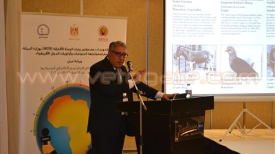 بالصور.. ورشة عمل حول «القضايا البيئية في أفريقيا ودور الإعلام»