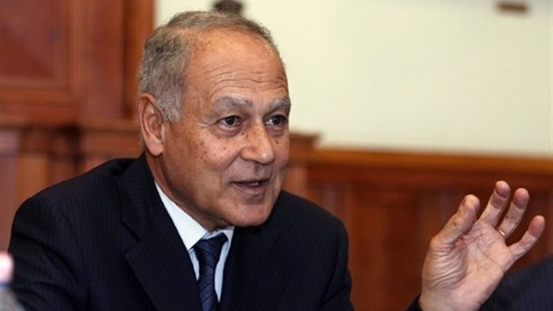 أحمد أبو الغيط، الأمين