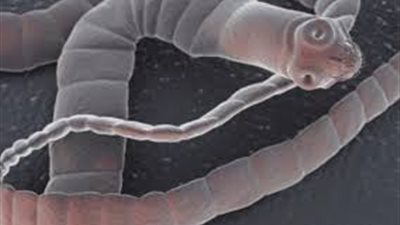 150 ألف يورو تنقذ «عبد الرحمن» من السرطان