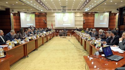 الحكومة تنفي استيراد قمح مسرطن مصاب بفطر الإرجوت