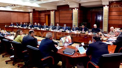 الحكومة تنفي تسريح مليوني موظف بتعليمات صندوق النقد