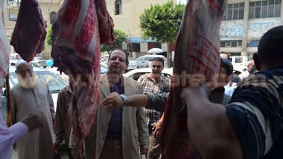 بالصور.. «الرقابة الإدارية» تحرر محاضر للمخالفين بكفر الشيخ