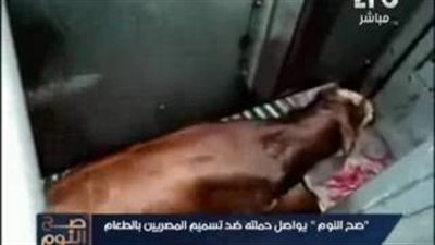 بالفيديو.. مصنع ينتج «بلوبيف» من الحيوانات «المقتولة»