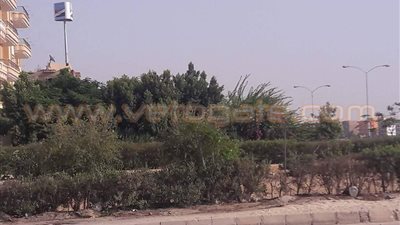 بالصور.. أهالي العاشر يطالبون بإزالة برج تقوية لشبكة محمول