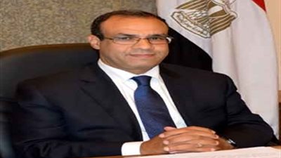 الخارجية المصرية تنفى تصريحات 
