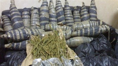 ضبط 1300 كيلو بانجو داخل مخزن في نويبع