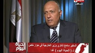 بالفيديو.. سامح شكرى: سد الكونغو لن يؤثر على حصة مصر المائية