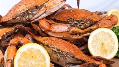 استقرار أسعار الأسماك.. و«الكابوريا» تسجل 36 جنيها «جملة»