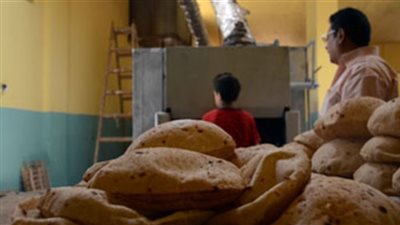 أصحاب المخابز بالمنيا يطالبون بالكتاب الدورى لمنع حبسهم في المخالفات