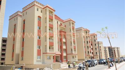 بالصور.. «الإسماعيلية الجديدة» تتزين لاستقبال الرئيس