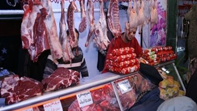 الدواجن البيضاء تسجل 20 جنيها بجنوب سيناء