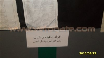 عاطف أبوشهبة: «الدولة إذا أرادت القضاء على شيء أدخلته حظيرتها»