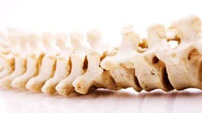 الخميس.. «علاج طبيعي القاهرة» تنظم ورشة حول تقويم العظام