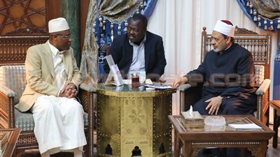 «الطيب» يعلن استعداد الأزهر لدعم غينيا تعليميا ودعويا