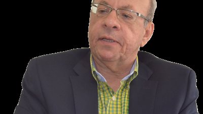 وحيد عبد المجيد: حيتان 