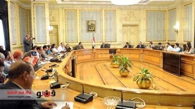 الدعوة السلفية والنور: على حكومة الببلاوي الاستقالة.. وحذرنا من عدم طمأنة الإسلاميين