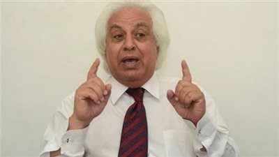 سمير غطاس: إقالة هشام جنينة من صلاحيات البرلمان