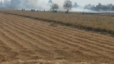 بالفيديو.. السحابة السوداء تُغطي سماء الشرقية بسبب حرق قش الأرز