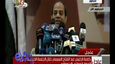 السيسي لـ«البشير»: أثق في حكمتك وقدرتك على تحقيق استقرار السودان