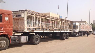 الفيوم تتسلم شاحنتي مواد غذائية توزع بالمجان على الأسر الفقيرة
