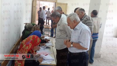 بالفيديو والصور.. 